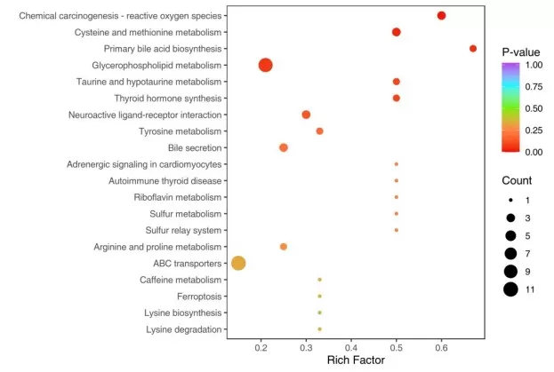 KEGG enrichment analysis bubble plot showing Gene Count, Rich Factor, and p-value for pathway significance
